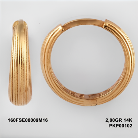 160FSE00009M16 Sarı Altın 14 Ayar 2,00 Gr. Küpe