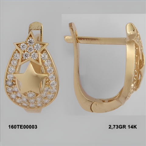 160TE00003 Sarı Altın 14 Ayar 2,39 Gr. Küpe